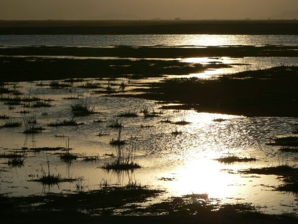 evening light