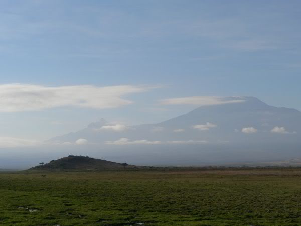 kilimanjaro