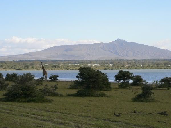 mount longonot