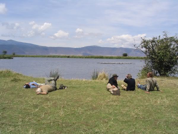 picnic