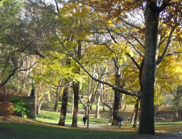 central park
