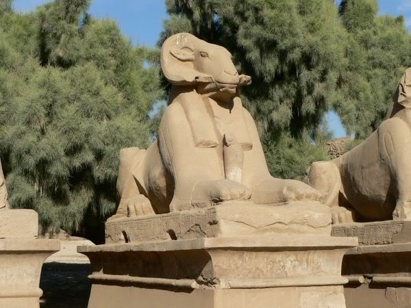 sphinx
