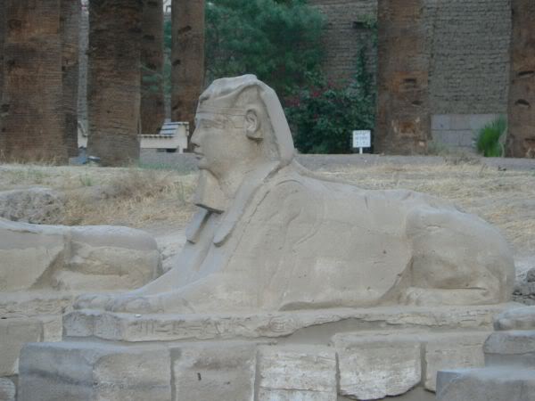 sphinx