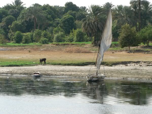 river life