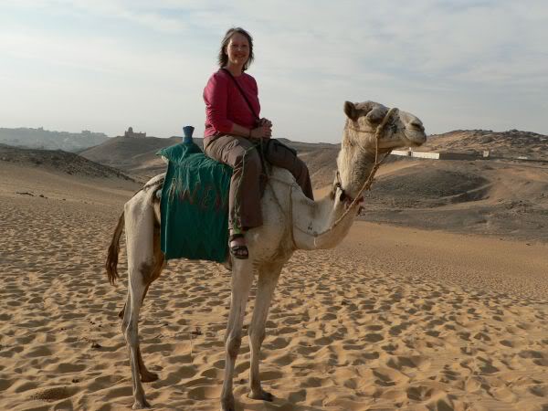 me on camel