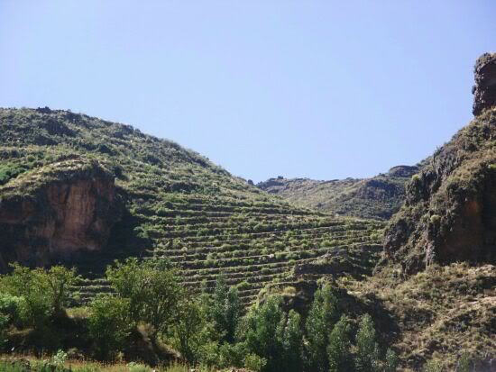 Terracing