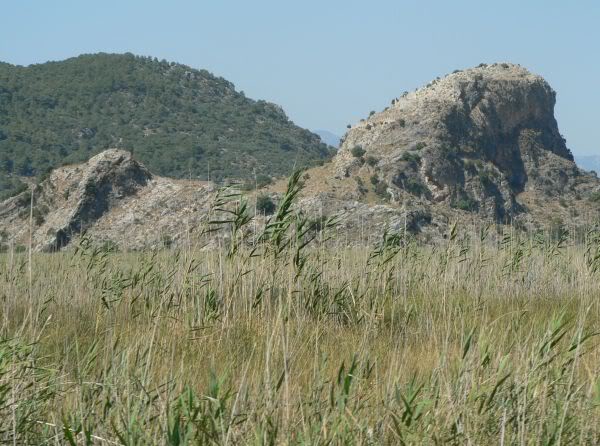 caunos