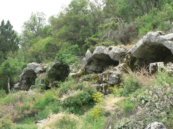 termessos