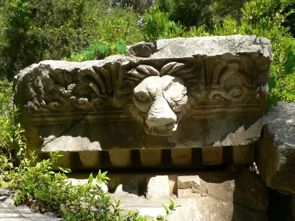 phaselis